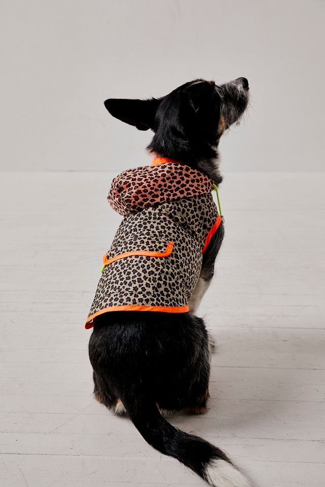 Leopard Print Dog Raincoat #1