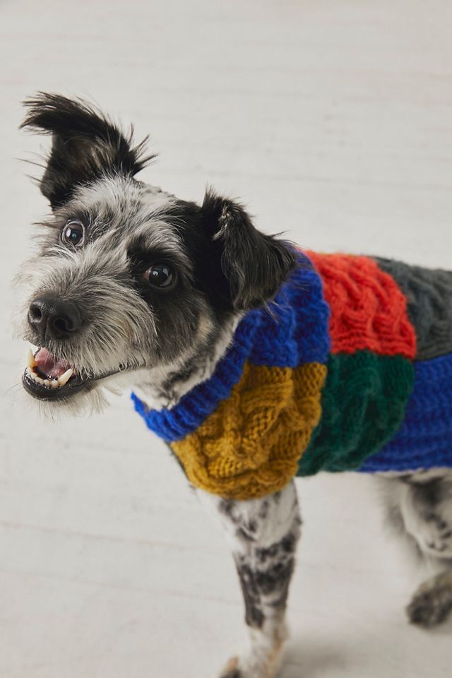 Service sales dog sweater