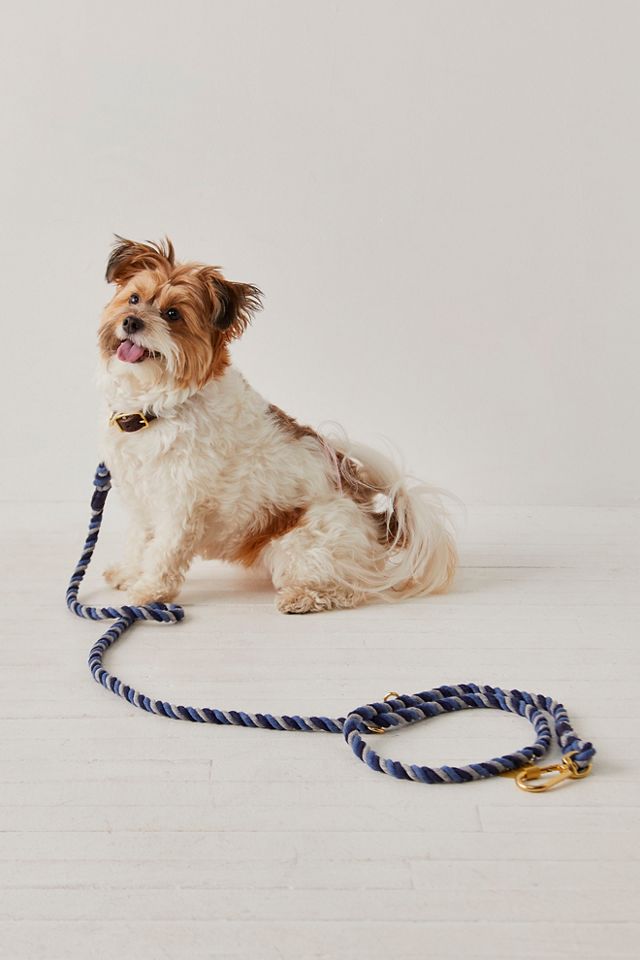 Found My Animal Multi Twist Rope Dog Leash