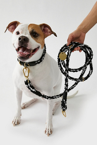 Found My Animal Multi-Twist Rope Dog Leash at Free People in Black & White Combo