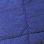 Blue Iris