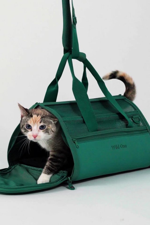 Wild One Travel Dog Carrier | Free People