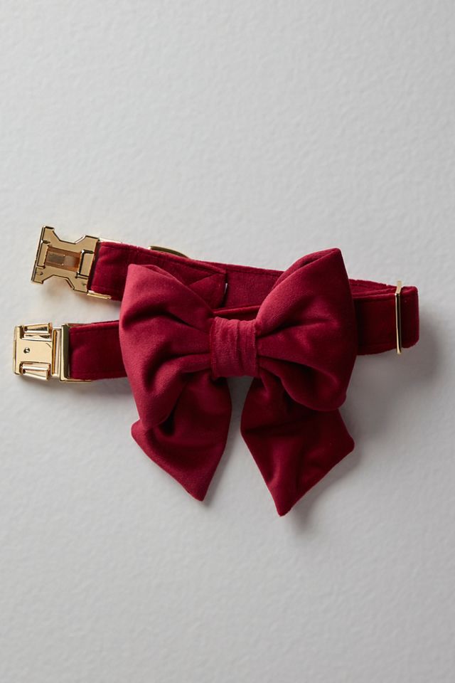 The Foggy Dog Velvet Lady Bow Collar #2