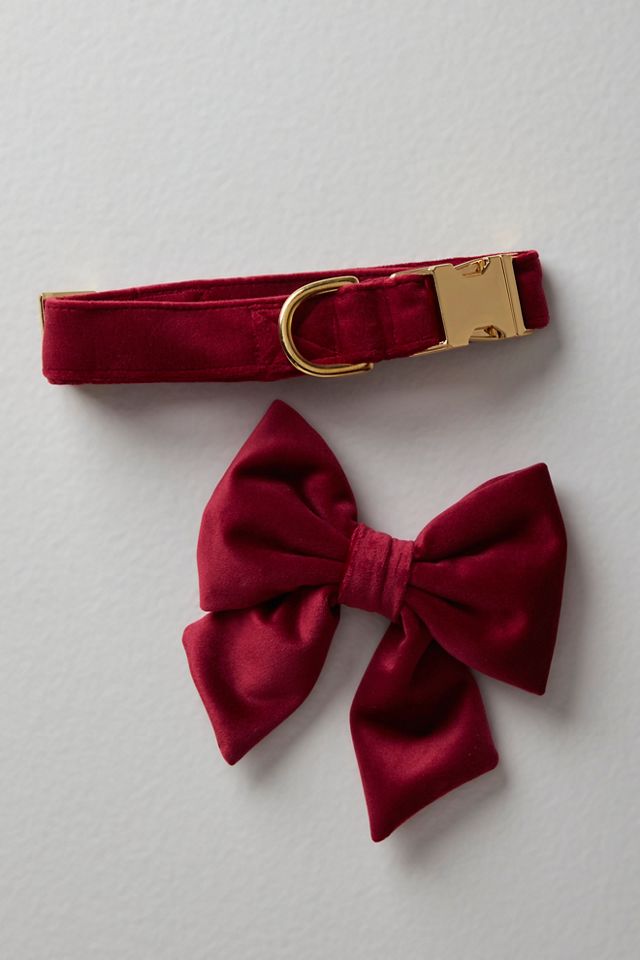 The Foggy Dog Velvet Lady Bow Collar #3