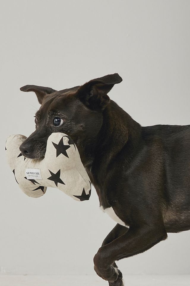 The Foggy Dog Squeaky Toy #1