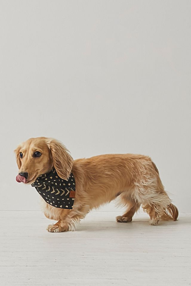 Bandana pour chien en bogolan Foggy Dog #4