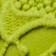 Bright Green