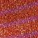 Fuchsia / Orange