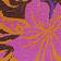 Mocha Petal Trip
