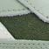 Breakaway Green / Hybrid Green