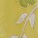 Pastel Yellow