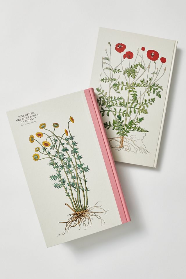 TASCHEN Leonhart Fuchs: The New Herbal | Free People
