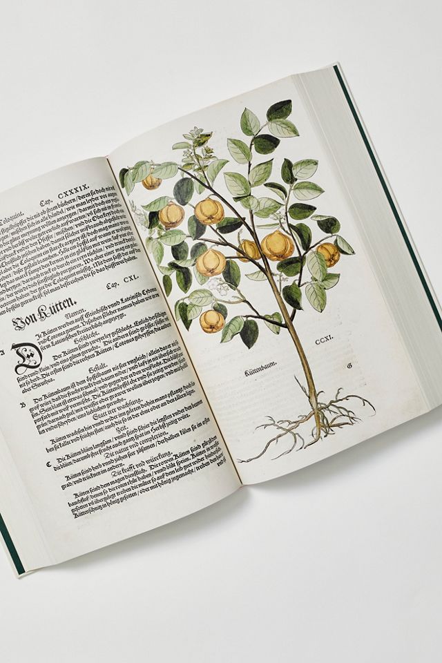 TASCHEN Leonhart Fuchs: The New Herbal | Free People