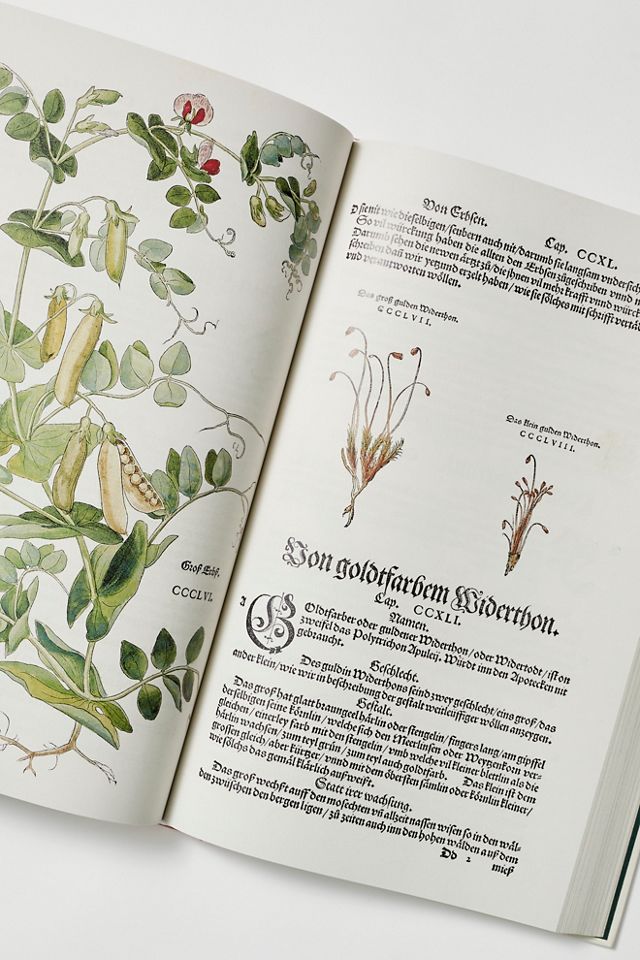 アート・デザイン・音楽 Leonhart Fuchs : The New Herbal of 1543 Leonhart Fuchs: The New Herbal of 1543 – Atomic Books