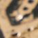 Brass Sage