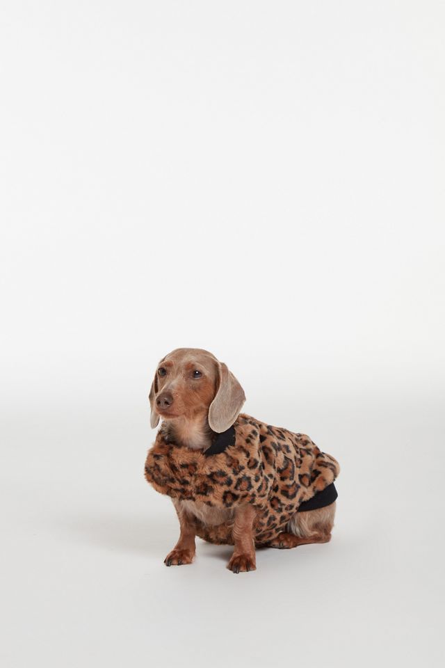 APPARIS Carter Pet Vest