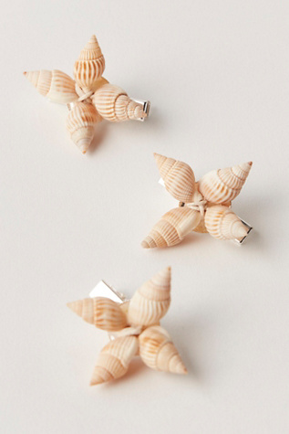 Shell Adornments 3-Pack at Free People in Conch Shell