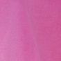 Fuchsia Flirt
