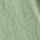Sea Fern