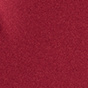 Winterberry