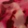 Rose Tort