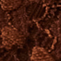 Umber Earth