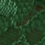 Green Bee