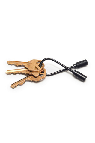 Craighill Closed Helix Keyring Bag by Free People in Black