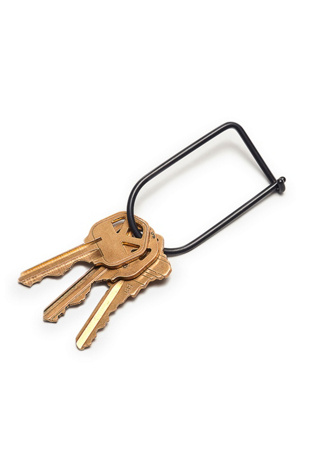 Craighill Wilson Keyring Bag by Free People in Black