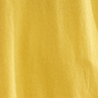 Daffodil