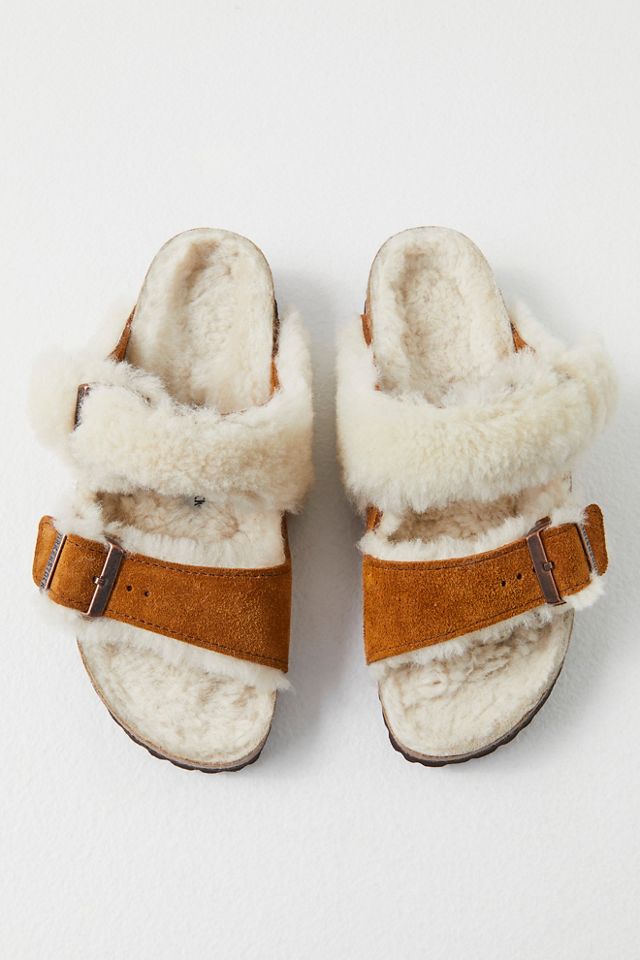 たんたん S3 コラゲリード2 Arizona Split Teddy Shearling Birkenstock | Free People