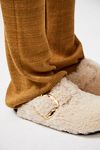 Boston Big Buckle Teddy Shearling Birkenstock
