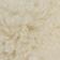 Eggshell Teddy