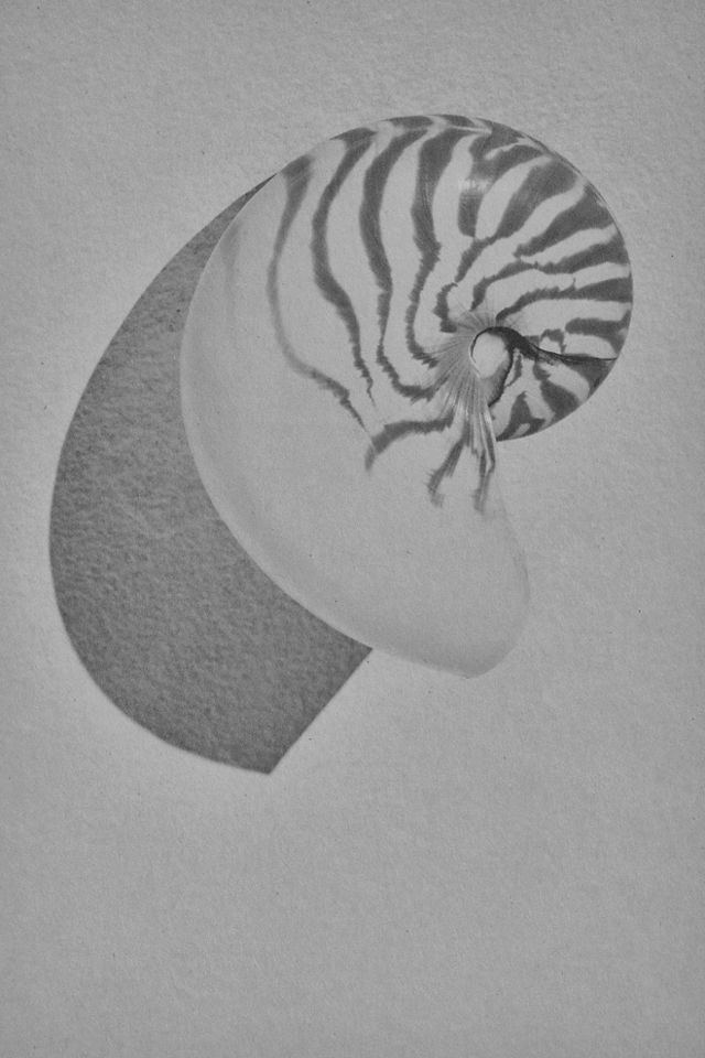 Sanibel Wide Brim Straw Hat #1