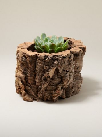 Tiradia Cork Bark Planter