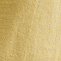 Palm Leaf