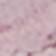 Pink-A-Boo