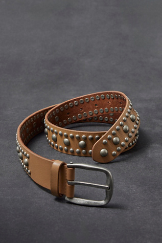 We The Free Sola Stud Belt at Free People in Saddle, Size: M/L