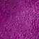 Violet Fuchsia