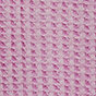 Pink Bloom