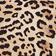 Brown Leopard