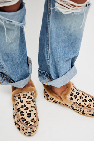 Pantoufles Jude Laidback London en Blé Poney Léopard, pour femme taille: EU 37 chez Free People