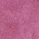 Fuchsia Frost