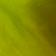 Fern Green