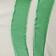 Tennis Green Combo