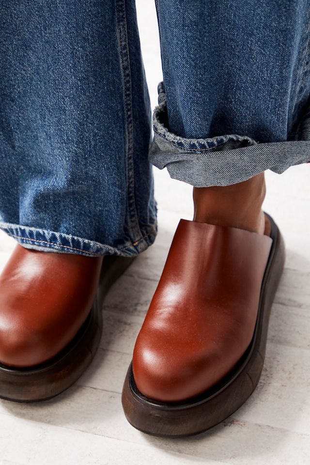 Diandra Mules #1