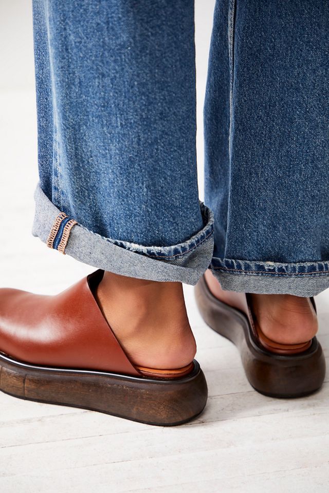 Diandra Mules #2