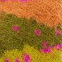 Rainbow Farm Combo