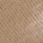 Sand Dollar