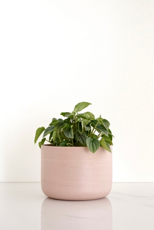 Ren Vois Terracotta Marble Planter at Free People in Tan, Size: M